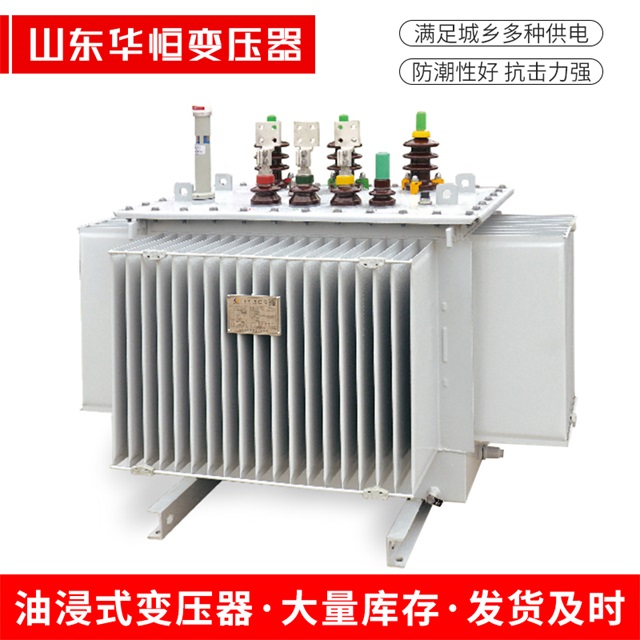 S13-10000/35盐边盐边盐边电力变压器