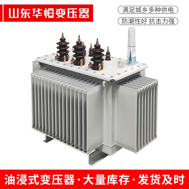 S13-10000/35盐边盐边盐边油浸式变压器厂家